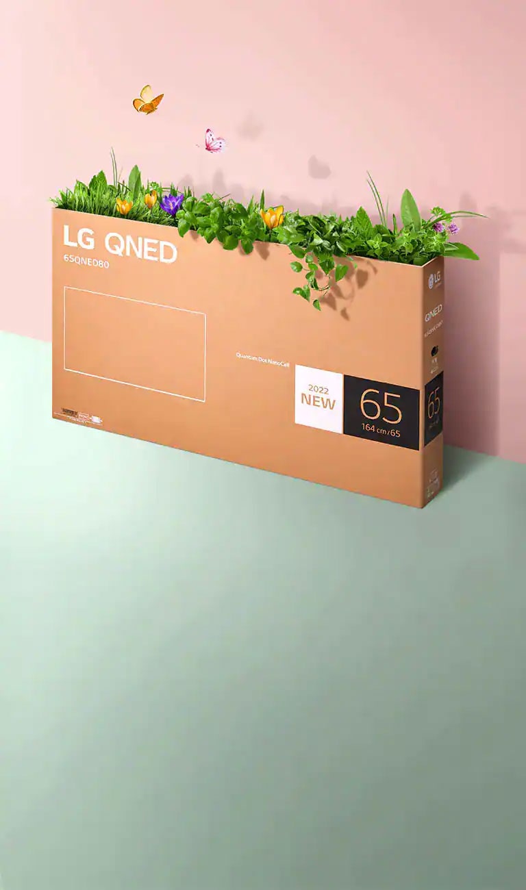A QNED packaging box is placed on pink, green background and there is grass growing and butterflies coming out from its inside.