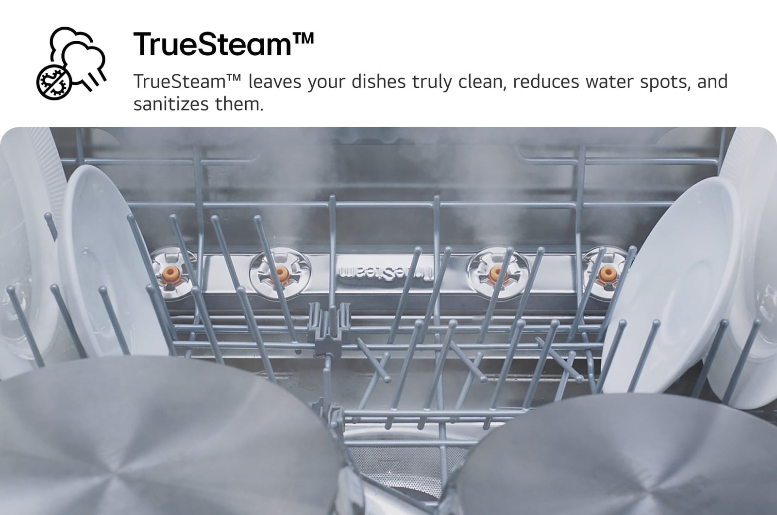 USP image for TrueSteam™