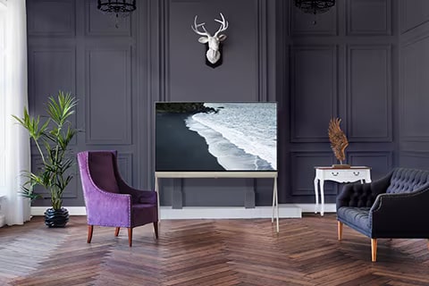 Posé in the center of a modern, charcoal painted wall underneath a deer mount with an image of waves on-screen.	
