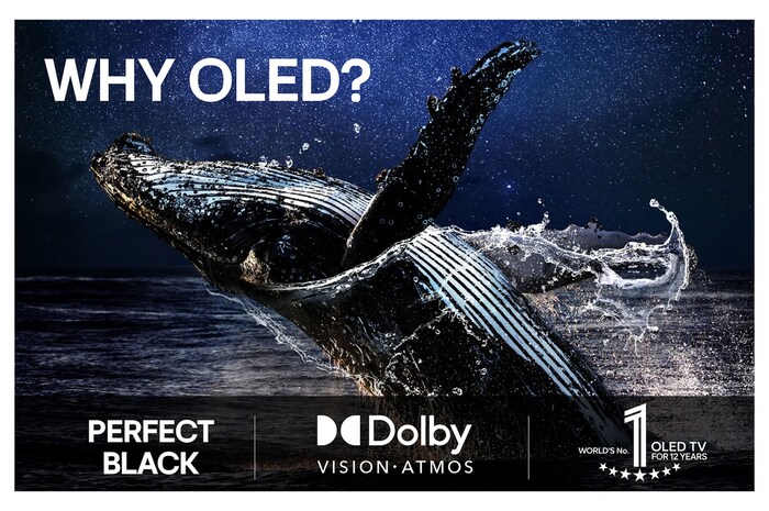 Colorful parrot in ultra-high definition against a black background. Water drops are suspended in the air all around it. The image showcases Perfect Color as each different hue on the parrot's body is vibrant and vivid. Different logo certifications from UL and Intertek are visible. These refer to 100% Color Fidelity and 100% Color Volume. Text is also visible, check the Perfect Color certificatio