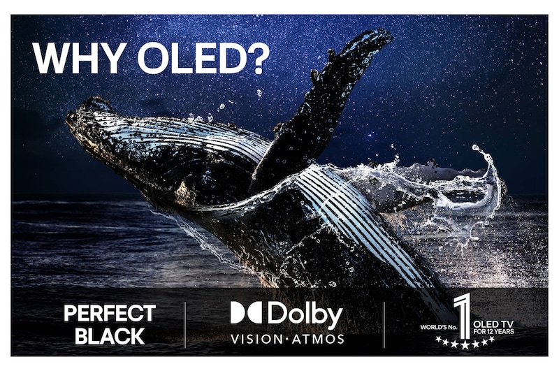 Colorful parrot in ultra-high definition against a black background. Water drops are suspended in the air all around it. The image showcases Perfect Color as each different hue on the parrot's body is vibrant and vivid. Different logo certifications from UL and Intertek are visible. These refer to 100% Color Fidelity and 100% Color Volume. Text is also visible, check the Perfect Color certificatio