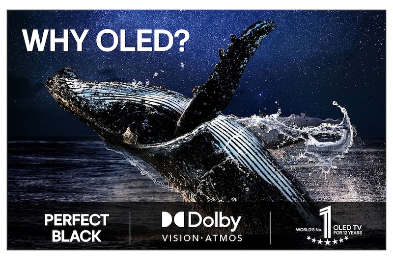 Bländande och färgglada fyrverkerier visas på en TV-skärm. Detta visar 100 % färgtrohet som visar exakta färger även i solljus.  Logotypcertifiering syns, Perfect Color Technology ger färgkonsekvensnivåer som är större än 99 %, upp till 500 lux. Intertek-certifieringar som visar oberoende tester syns bredvid.