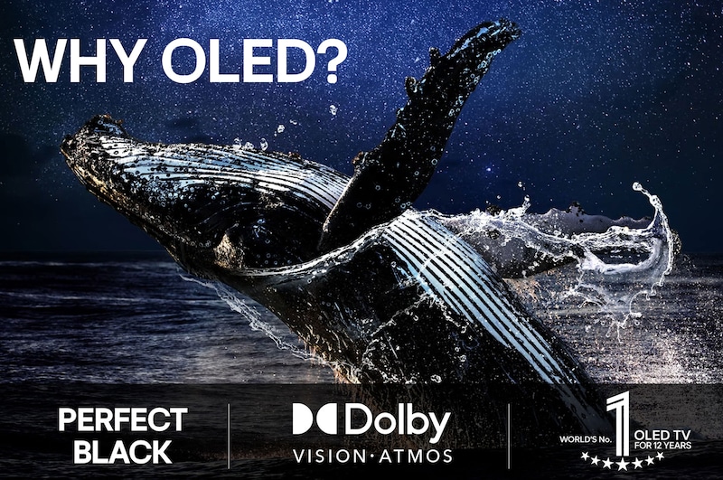 En LG TV-skärm med en AI Magic Remote i förgrunden. AI-knappen är markerad och en pratbubbla visar text, föreslår en film jag gillar. På skärmen visas användarikonen E, som indikerar hur AI Voice ID kunde identifiera vilken användare det var och ge personliga rekommendationer bara baserat på deras röst.