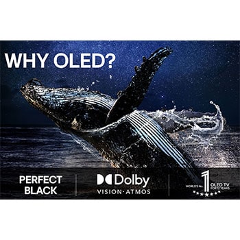 En LG TV-skärm med en AI Magic Remote i förgrunden. AI-knappen är markerad och en pratbubbla visar text, föreslår en film jag gillar. På skärmen visas användarikonen E, som indikerar hur AI Voice ID kunde identifiera vilken användare det var och ge personliga rekommendationer bara baserat på deras röst. 