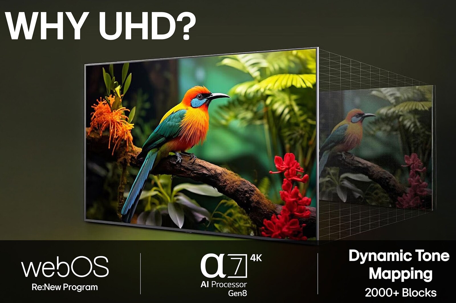 Före och efter-jämförelse av hur LG:s 4K Super Upscaling förbättrar bildkvaliteten. Två paneler som visar samma bild av en färgglad fågel som sitter på en gren i en skog, panelen till höger är urblekt. Titeln talar om hur 4K Super Upscaling förbättrar upplösning, ljusstyrka och klarhet. 