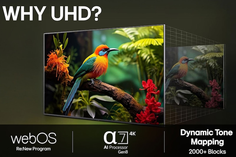 Före och efter-jämförelse av hur LG:s 4K Super Upscaling förbättrar bildkvaliteten. Två paneler som visar samma bild av en färgglad fågel som sitter på en gren i en skog, panelen till höger är urblekt. Titeln talar om hur 4K Super Upscaling förbättrar upplösning, ljusstyrka och klarhet.