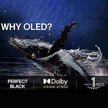 97-tums LG SIGNATURE OLED M5 4K Smart TV 2025