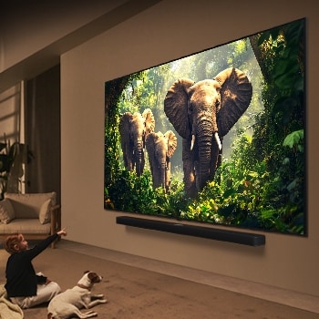 En flicka och en hund sitter framför en LG QNED TV monterad på en vägg som visar tre elefanter som går utåt ovanför en LG Soundbar. En kort text beskriver hur varje handling är mer spännande på en stor skärm. 