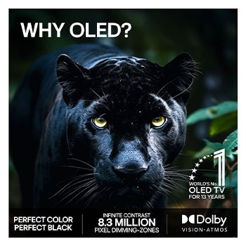 LG OLED evo AI C6 för en oslagbar spelupplevelse i 4K 165 Hz visar ett höghastighetsracingspel med en gul bil med friliggande hjul i rörelse, djärv ”WIN”-text på skärmen och NVIDIA G-SYNC- och AMD FreeSync Premium-logotyper överst.