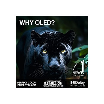 LG 55" OLED evo Gallery G6 4K AI TV - 2026