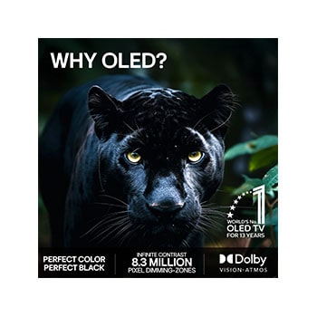 LG 65" OLED evo Gallery G6 4K AI TV - 2026