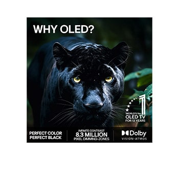 LG OLED evo AI G6 med AI Hub för personanpassning, med en AI-ikon ovanför en fjärrkontroll omgiven av etiketter för Multi AI Search, AI Concierge, AI Voice ID with My Page, AI Chatbot, AI Picture Wizard och AI Sound Wizard.
