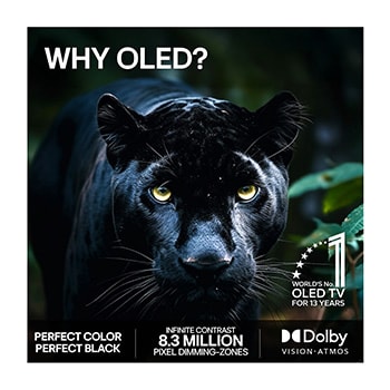 LG OLED evo AI C6 med AI Hub för personanpassning, med en AI-ikon ovanför en fjärrkontroll omgiven av etiketter för Multi AI Search, AI Concierge, AI Voice ID with My Page, AI Chatbot, AI Picture Wizard och AI Sound Wizard.