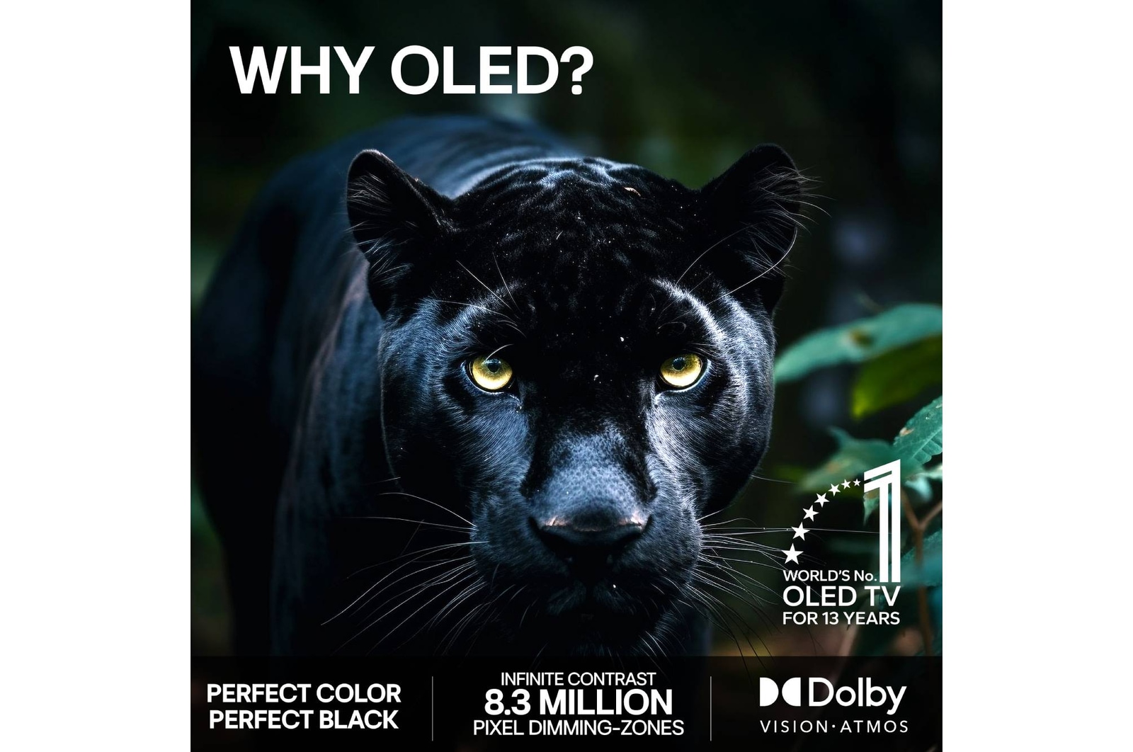 LG OLED evo AI C6 med AI Hub för personanpassning, med en AI-ikon ovanför en fjärrkontroll omgiven av etiketter för Multi AI Search, AI Concierge, AI Voice ID with My Page, AI Chatbot, AI Picture Wizard och AI Sound Wizard.