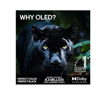 LG 83" OLED evo Wallpaper W6 4K AI TV – 2026