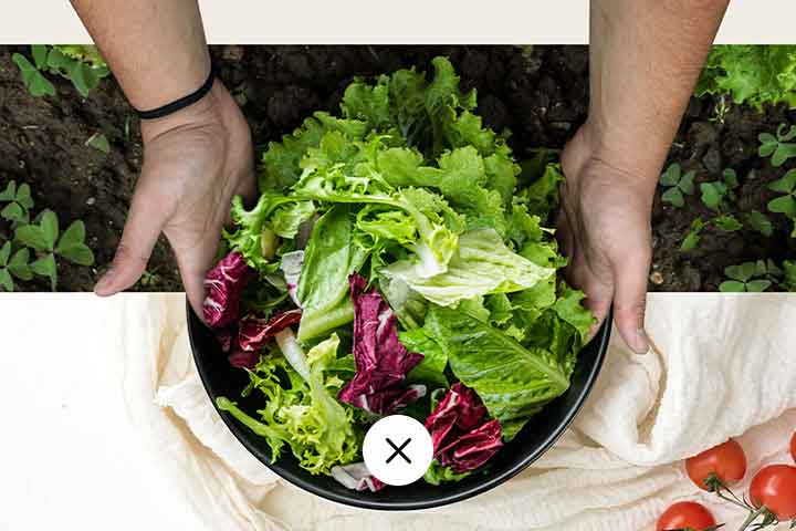 Den översta delen av bilden är att skörda sallad från fältet. Den nedre delen av bilden är en fräsch sallad i en rund tallrik. Grönsakerna i dessa två bilder hänger naturligt ihop som om de vore en bild.