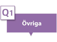Det står ”Övriga” i textrutan.