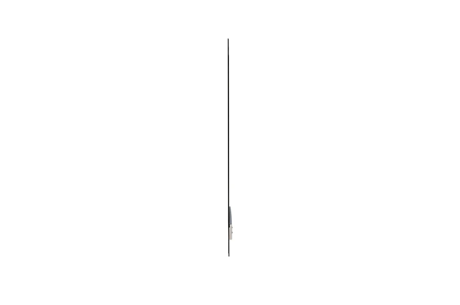 LG Transparent OLED-skyltning, 55EW5G-A