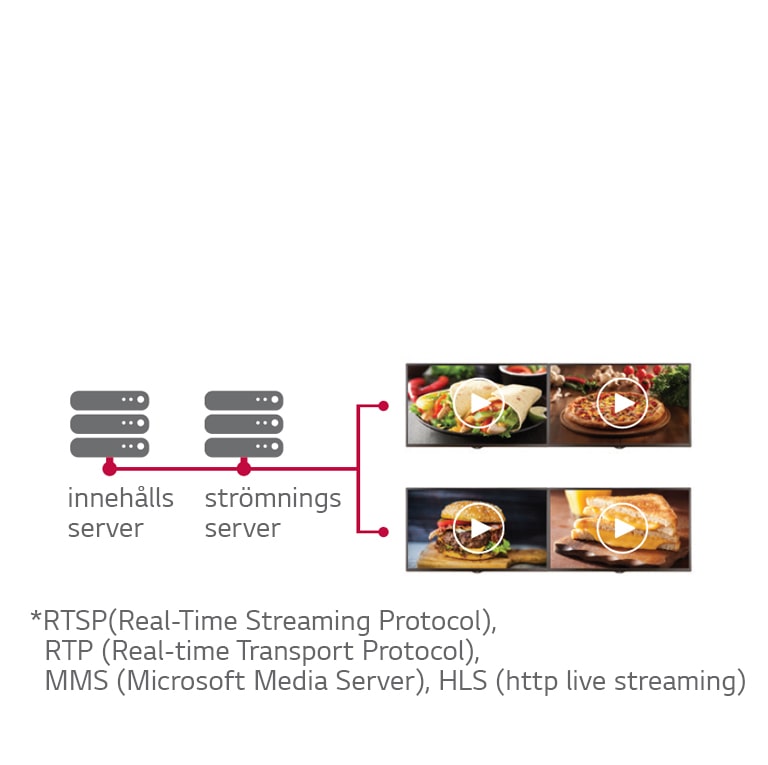 IP Streaming-protokoll<br>1