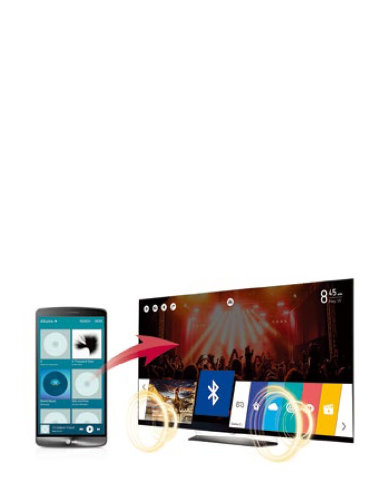 Bluetooth Sound Sync (Bluetooth 3.0)<br>1