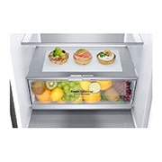 LG 1.86M 341L Kombinerad kyl/frys(Shiny Steel) - Energiklass C, Door Cooling™, ELB81PZVCP