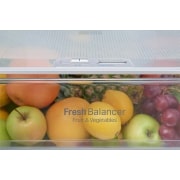 LG Ny  kombinerad Kyl/Frys med Total No Frost, 201cm (nettovolym 343 liter) , GBB60SWSFB