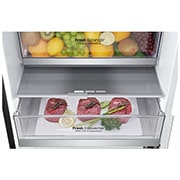 LG 2.03M 384L Kombinerad kyl/frys(Matte Black) - Energiklass B, Door Cooling™ och Smart Diagnosis™ med Wi-Fi, GBB92MCABP