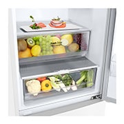 LG 2.03M 384L Kombinerad kyl/frys(White) - Energiklass A, GBP62SWNAC