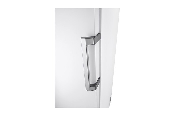 LG 324L Fristående frys (Vit) - Energiklass E, Total No Frost, Express Freeze, Smart Diagnosis™ med Wi-Fi, GFE41SWGSZ