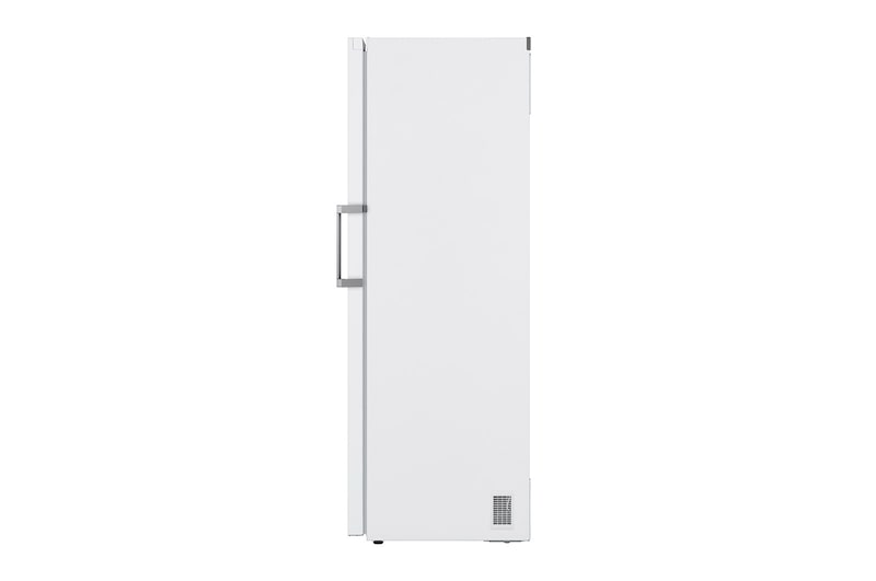 LG 324L Fristående frys (Vit) - Energiklass E, Total No Frost, Express Freeze, Smart Diagnosis™ med Wi-Fi, GFE41SWGSZ
