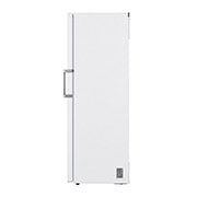 LG 324L Fristående frys (Vit) - Energiklass E, Total No Frost, Express Freeze, Smart Diagnosis™ med Wi-Fi, GFE41SWGSZ