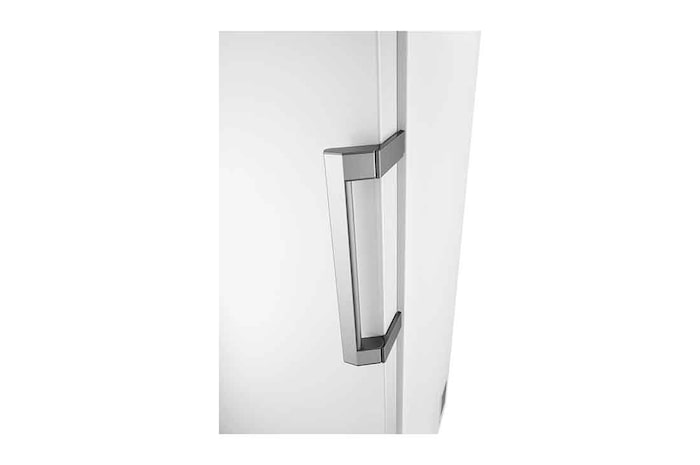 LG 324L Fristående frys (Vit) - Energiklass E, Total No Frost, Express Freeze, Smart Diagnosis™ med Wi-Fi, GFE61SWCSZ