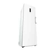 LG 324L Fristående frys (Vit) - Energiklass E, Total No Frost, Express Freeze, Smart Diagnosis™ med Wi-Fi, GFE61SWCSZ