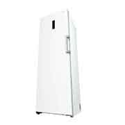 LG 324L Fristående frys (Vit) - Energiklass E, Total No Frost, Express Freeze, Smart Diagnosis™ med Wi-Fi, GFE61SWCSZ