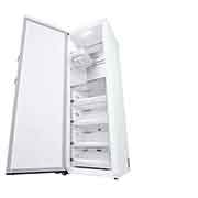 LG 324L Fristående frys (Vit) - Energiklass E, Total No Frost, Express Freeze, Smart Diagnosis™ med Wi-Fi, GFE61SWCSZ