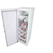 LG 324L Fristående frys (Vit) - Energiklass E, Total No Frost, Express Freeze, Smart Diagnosis™ med Wi-Fi, GFE61SWCSZ