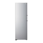 Vy framifrån av 324L Fristående frys (Shiny Steel) - Energiklass D, Total No Frost, Express Freeze GFT41PZGSF