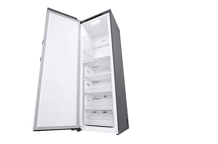 LG 324L Fristående frys (Shiny Steel) - Energiklass E, Total No Frost, Express Freeze , GFT41PZGSZ