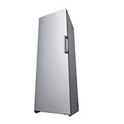 LG 324L Fristående frys (Shiny Steel) - Energiklass E, Total No Frost, Express Freeze , GFT41PZGSZ