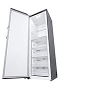 LG 324L Fristående frys (Shiny Steel) - Energiklass E, Total No Frost, Express Freeze , GFT41PZGSZ