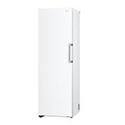 LG 324L Fristående frys (Vit) - Energiklass D, Total No Frost, Express Freeze, GFT41SWGSF