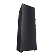 LG 324L Fristående frys (Matte Black) - Energiklass E, Total No Frost, Express Freeze, Smart Diagnosis™, GFT61MCCSZ