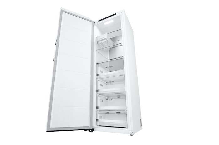 LG 324L Fristående frys (Vit) - Energiklass E, Total No Frost, Express Freeze, Smart Diagnosis™, GFT61SWCSZ
