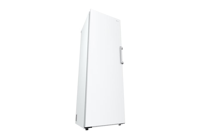 LG 324L Fristående frys (Vit) - Energiklass E, Total No Frost, Express Freeze, Smart Diagnosis™, GFT61SWCSZ