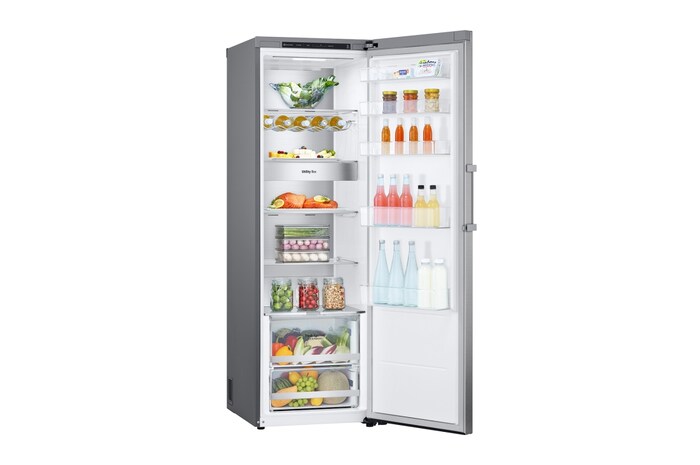 LG 386L Fristående kylskåp (Metal Sorbet) - Energiklass E, Door Cooling™, LINEARCooling™, FRESHBalancer™, Smart Diagnosis™, GLT71MBCSZ