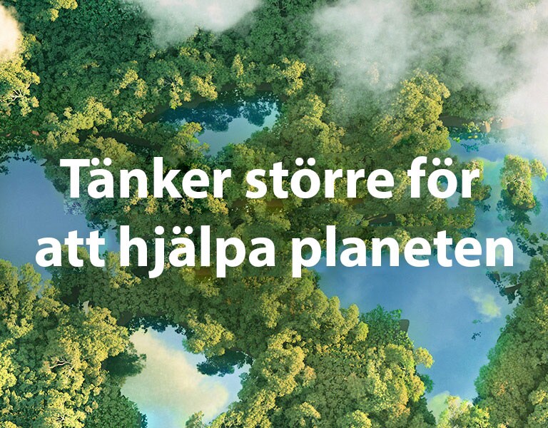 En bred vy av en grön skog ovanifrån och det finns också moln