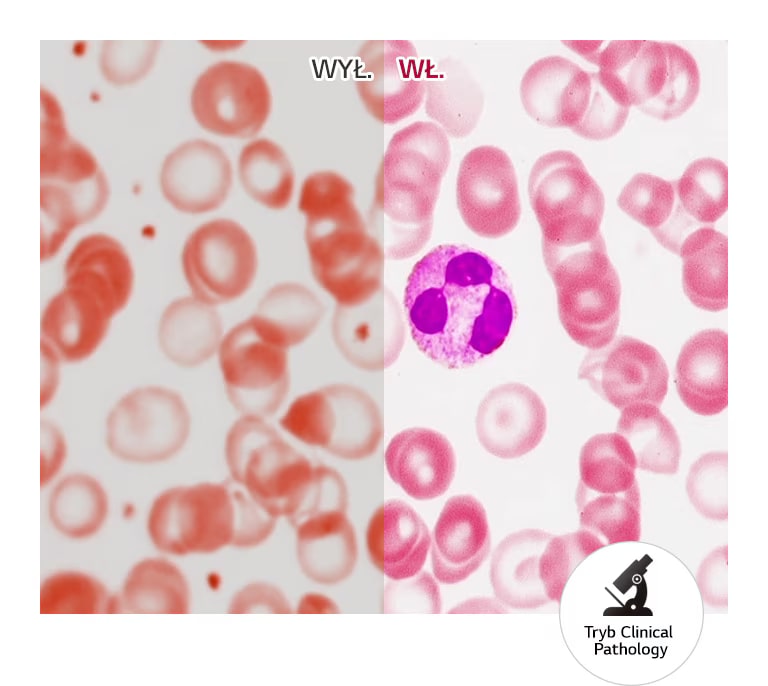 Realistyczne odwzorowanie kolorów