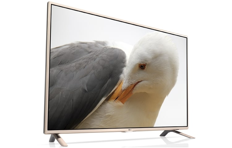 LG TV, 42LF561V