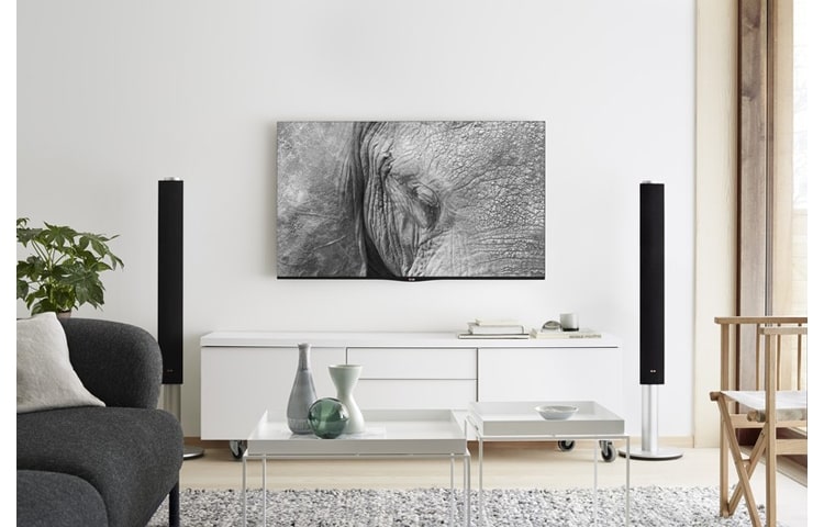 LG GALLERY OLED TV, 55EA870V