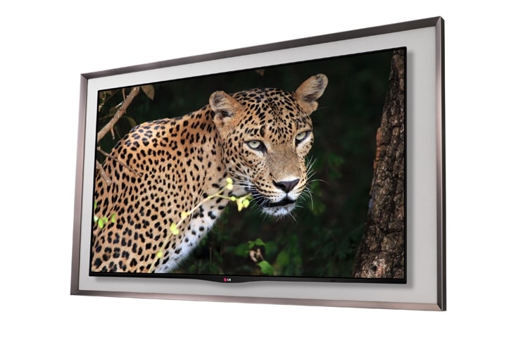 LG GALLERY OLED TV , 55EA880W
